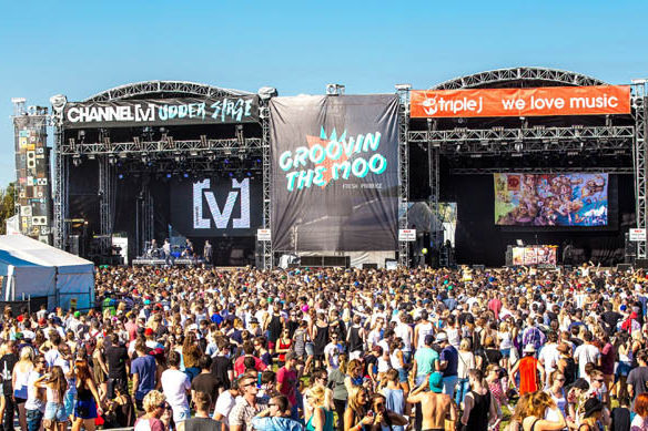Groovin the Moo